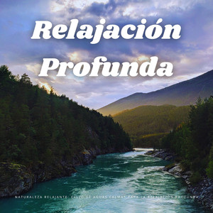 Resolución