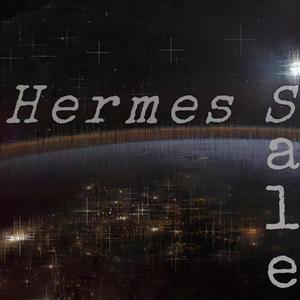 HERMES SALE