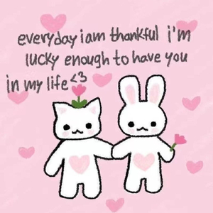 不会掉入你的陷阱