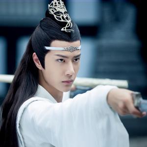 在下名叫蓝忘机~加速版