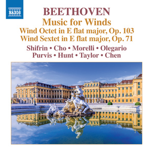Octet in E-Flat Major, Op. 103:II. Andante