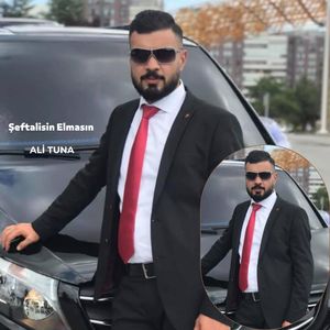 Şeftalisin Elmasın