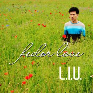 Feder Love (Radio Edit)