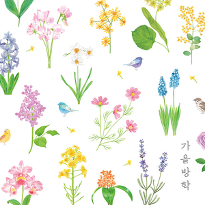 한 권도 줄지 않는 정리의 마법