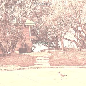 优美巴哈马器乐