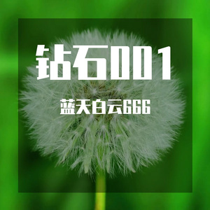 钻石001 (6)