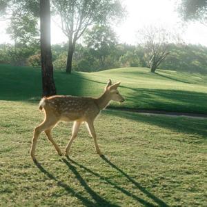 时间把你们弄丢了