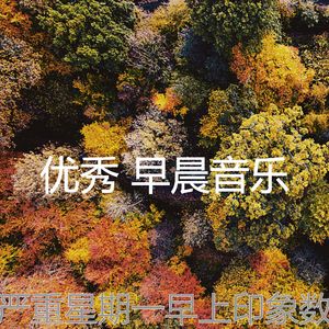 抚慰的星期一早上回忆