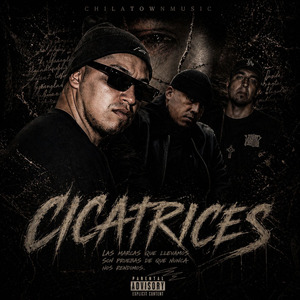 Cicatrices