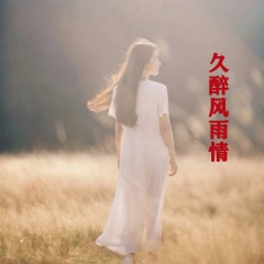 久醉风雨情DJ
