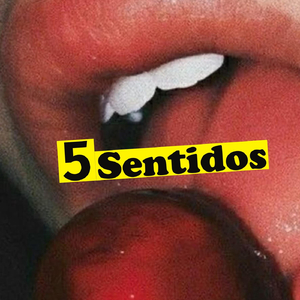 5 Sentidos