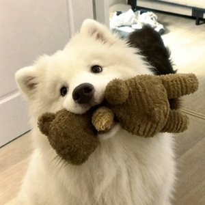 约定在落日相见