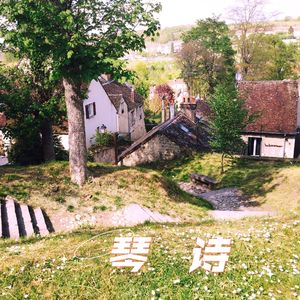 深秋，等一场雨