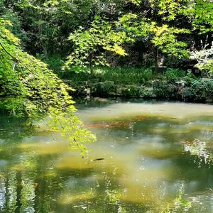 四平八稳的矢志不渝