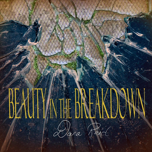 Beauty in the Breakdown