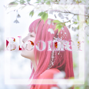 Bloomer (feat. あかね)