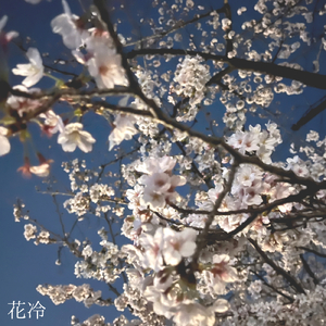 花冷