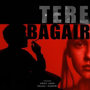 Tere Bagair