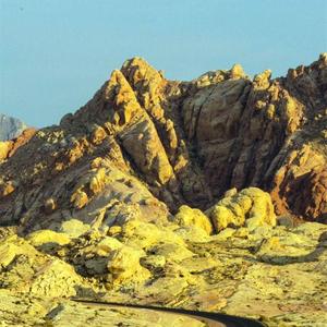 后来他和陌生的人同床