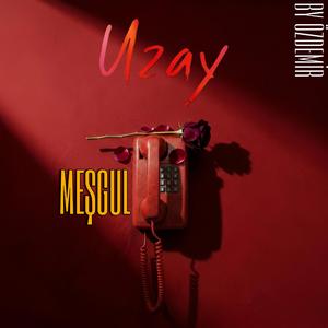 Meşgul (feat. Uzay)
