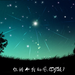 你听今夜的风 (DJ版)