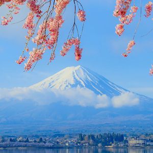 旧单车与白衬衫