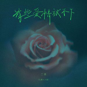 有些爱情放不下（DJ版伴奏）