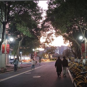 未踏堤岸却已湿透