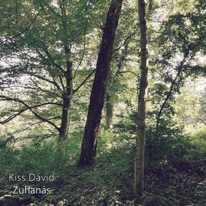 Dive in (feat. Fari)