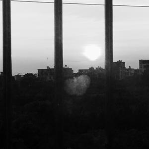 《假凤虚凰》节选