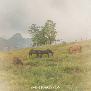 Not Die Old (Instrumental Version)