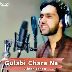 Gulabi Chara Na