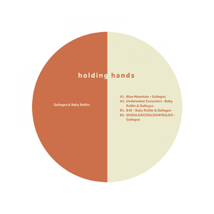 Shouldacouldawoulda (Original Mix)