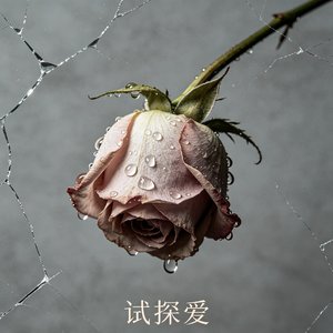 试探爱