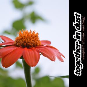 Weighed (Found Wanting)