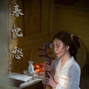 春忆愁 伴奏