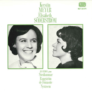 Flickan knyter i Johanne - natten (The Girl Trying on Midsummer's Eve)