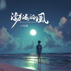 渤海的风 (DJ版)
