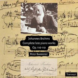 Intermezzo Op. 117 N. 3