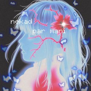nekad par mani