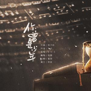 你曾是少年