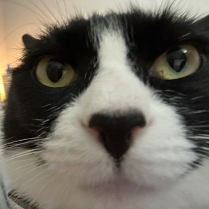 稀有植物（cover 孙盛希）