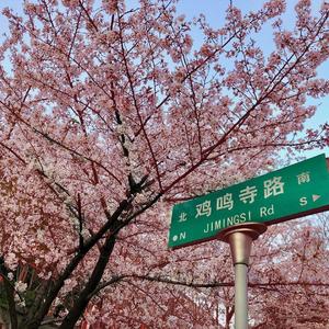 起风了1648829249733_20220402_001228