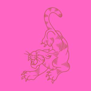 o҉ n҉ t҉ h҉ e҉ s҉ u҉ r҉ f҉ a҉ c҉ e҉ o҉ f҉ t҉ h҉ e҉ m҉ o҉ o҉ n҉ (pink panther but is it okay if it's lofi ?)