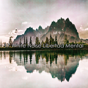 噪音中的一些平静