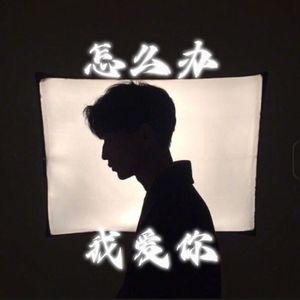 怎么办我爱你(雨下过了以后)