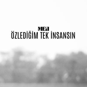 Özlediğim Tek İnsansın