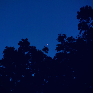 情報部の虚妄な日常