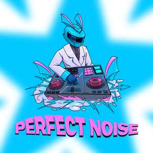 PERFECT NOISE