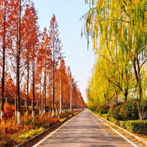 一眼认出余生.wav